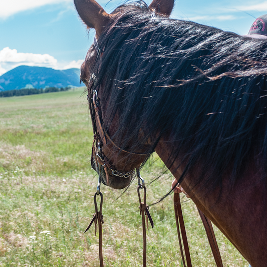 Cashel Harness Split Reins 5/8 inch