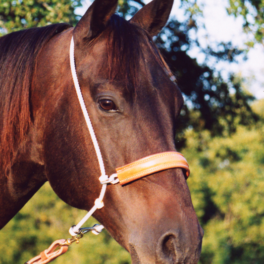 Martin Saddlery Headsetter Tie-down, leather nose